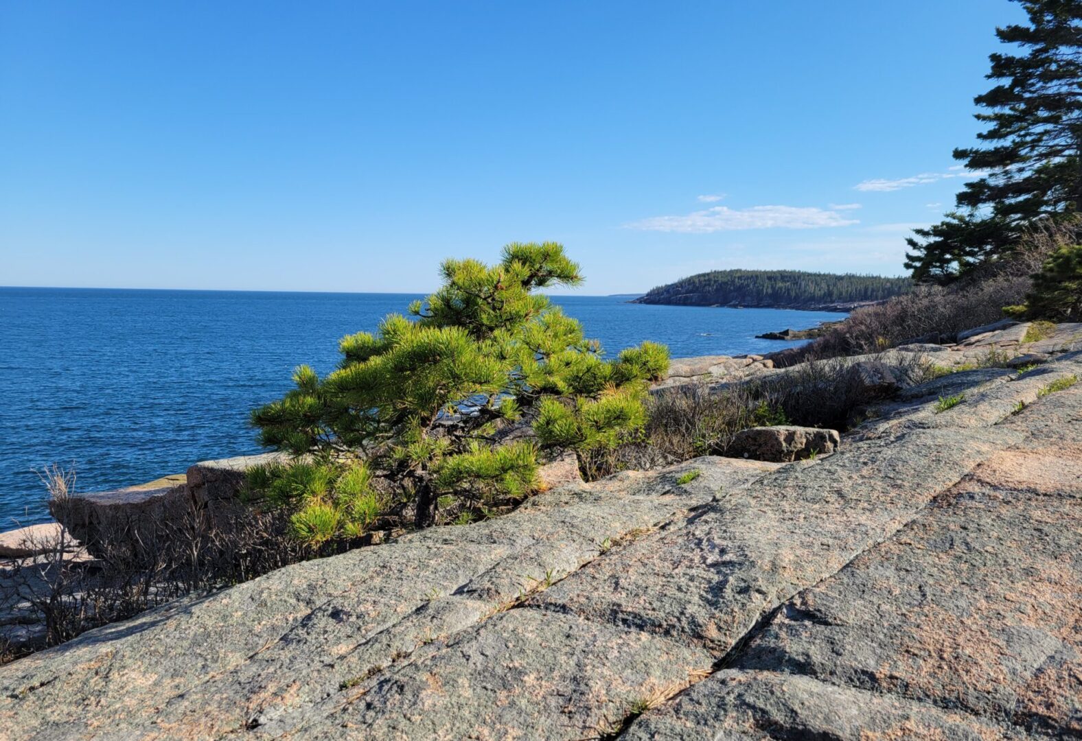 Acadia Hike