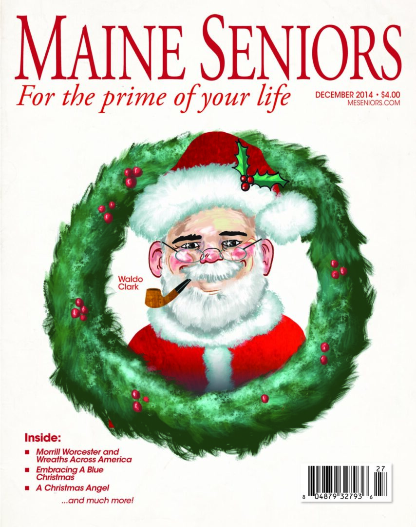 MSM Dec Cover 2014